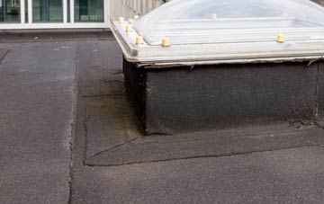 disadvantages of Wroot flat roofs