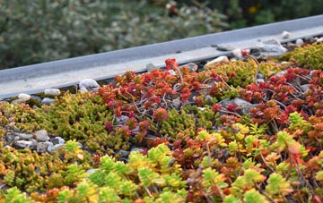 the cost of Wroot green roof installation