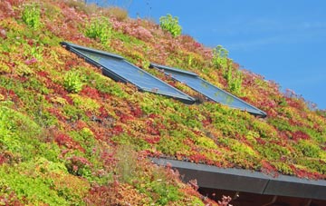 Wroot living roof systems