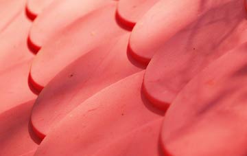 Wroot plastic roof costs